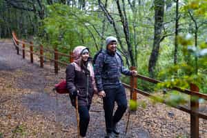 Explore a rainforest in the Chonos Archipelago