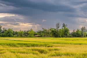Explore the countryside of Hoi An