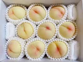 Go on a foodie tour in Okayama City