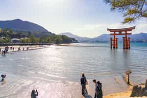 Visit Miyajima Island on a day tour