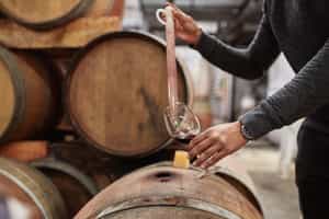 Attend a wine workshop in Bocanariz