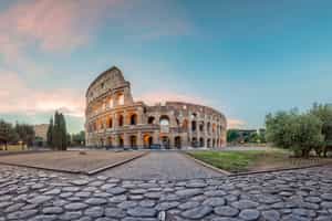 Witness Rome's Colosseum on a private guided tour