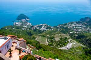 Go on a wine tasting tour in Ischia Island