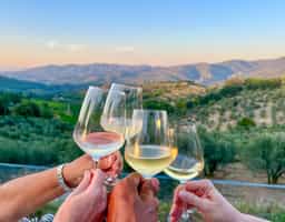 Enjoy a guided wine tasting tour in Chianti