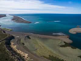 Navigate the Valdes Peninsula by boat