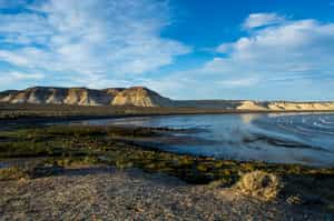 Explore the Valdes Peninsula