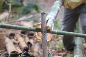 Learn how to make local bamboo art in Kanazawa