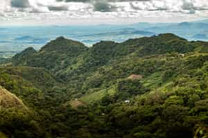Journey to the Panamanian mountains in Valle del Anton