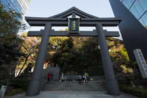 Receive a blessing at Tokyo's Shinto shrines