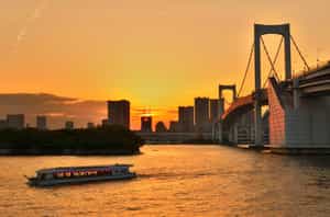 Enjoy an evening dinner cruise in Tokyo