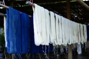 Learn about indigo weaving on the Mekong