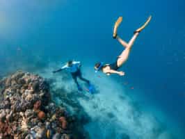 Go snorkeling around Pemba Island 