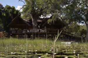 Tswii Okavango Lodge