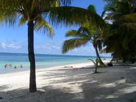 Le Palmiste Resort & Spa