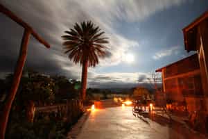 Omandumba Guest Farm