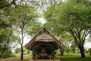 Tarangire Safari Lodge