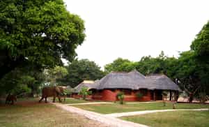 Mushroom Lodge & Presidential House