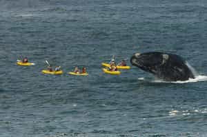 Zoete Inval Traveller's Lodge