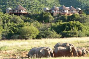 Nguni River Lodge 