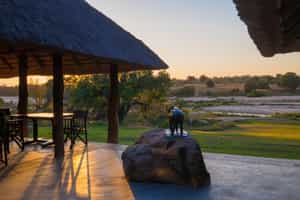 Inyati Game Lodge