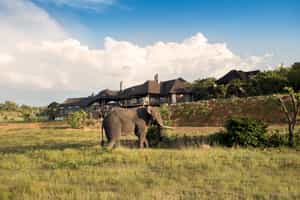 Mhondoro Safari Lodge & Villa