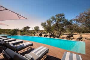 &Beyond Ngala Safari Lodge