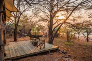Changa Safari Camp