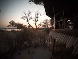 Jackalberry Tented Camp