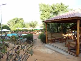 Orchidee du Bemaraha