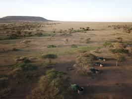 Wayo Little Green Camp