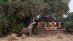 Chikwenya Safari Lodge