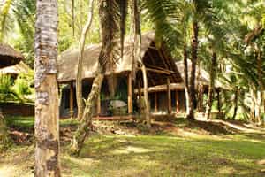 Kibale Forest Camp