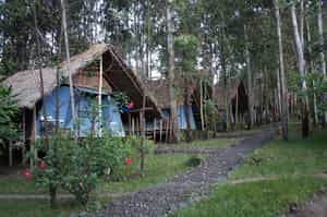 Eco-Omo Safari Lodge