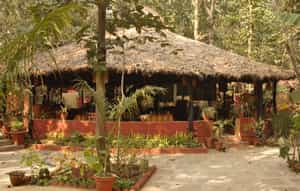 Kanha Jungle Lodge