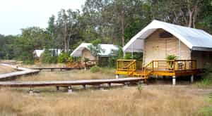 Cardamom Tented Camp