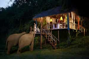 Anantara Golden Triangle Elephant Camp