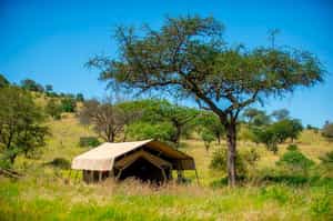Ndutu Kati Kati Tented Camp