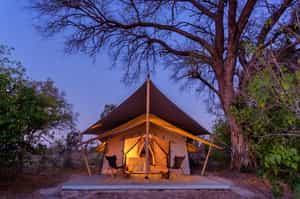 Okavango Hidden Gems Camp Maru