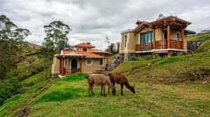 Llullu Llama Mountain Lodge