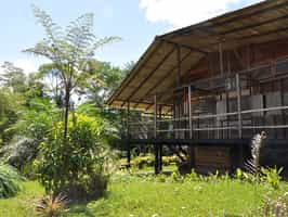 Hakuna Matata Amazon Lodge