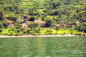 Paradise Kivu