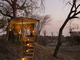 Mwamba Bush Camp