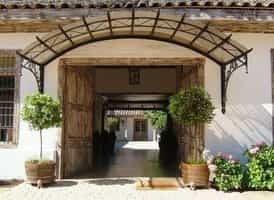 Casa Silva Vineyard Hotel