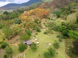 Udzungwa Forest Tented Camp