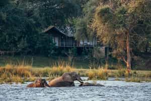 Anabezi Luxury Camp