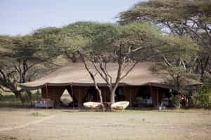 Serian's Serengeti South