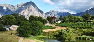 Alluvia Boutique Winery