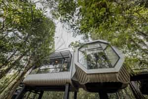 Bensley Collection Shinta Mani Wild