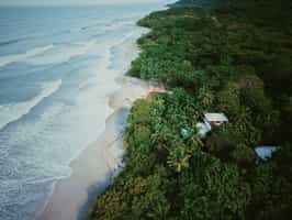 Hotel Tropico Latino