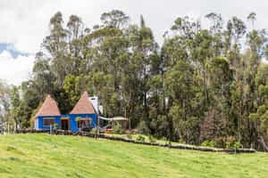 Casa Legado, The Manque